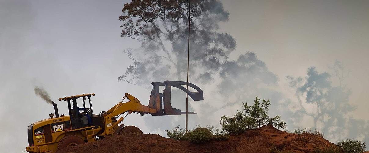 Abholzung © Brent Stirton / Getty Images / WWF UK
