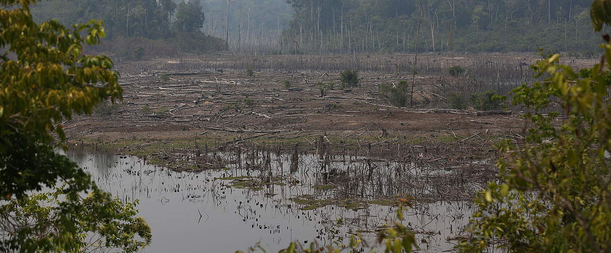 Gerodeter Regenwald im Amazonas © WWF-Brasilien