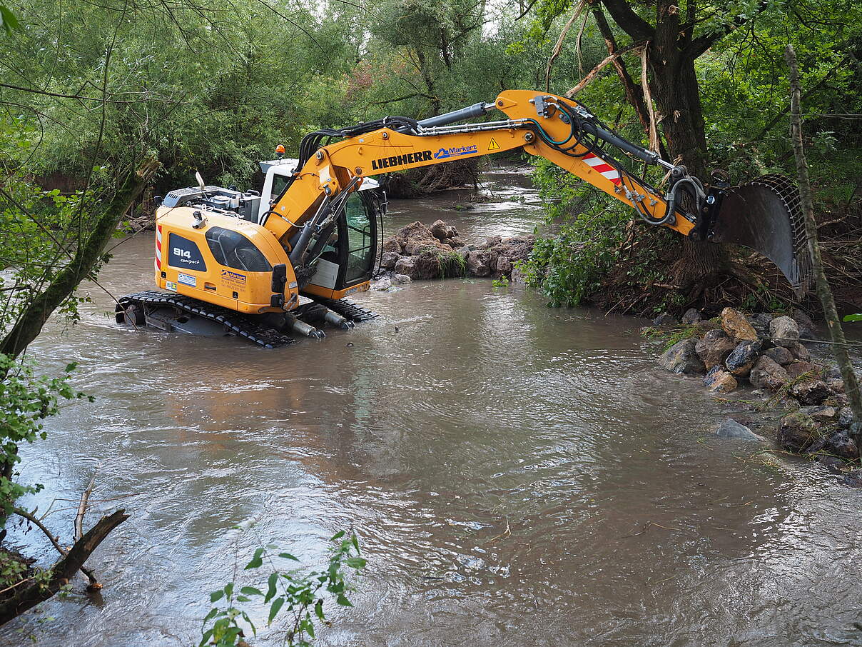 Leuchtenhofer Wehr an der Baunach © Sigrun Lange / WWF