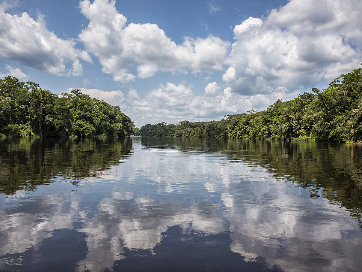 Wolken spiegeln sich in breitem Fluss, umrandet von dichtem Wald