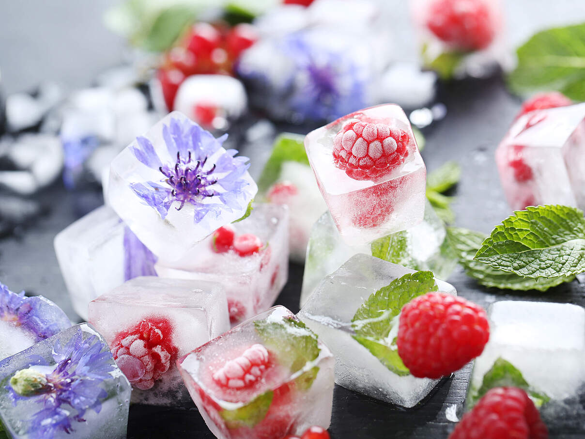 Eiswürfel mit Blüten und Früchten