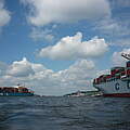 Containerschiffe auf der Elbe © Anna Holl / WWF