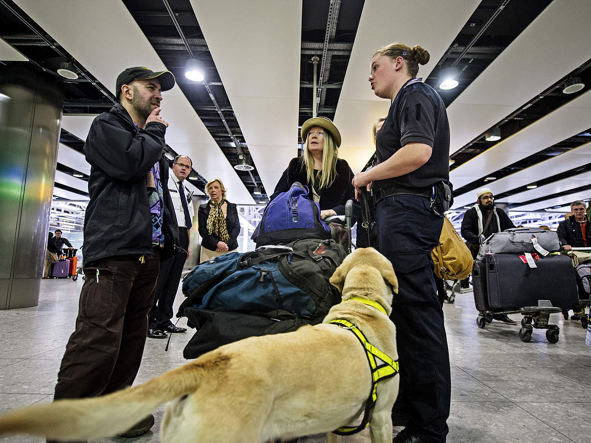 Spürhunde am Flughafen © WWF UK / James Morgan