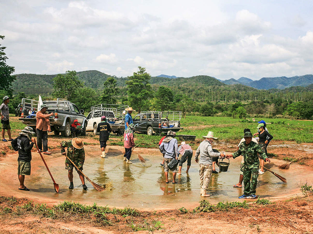 Wasserstelle © DNP / WWF Thailand