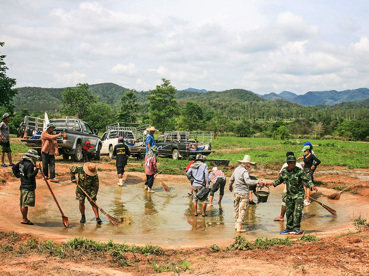 Wasserstelle © DNP / WWF Thailand