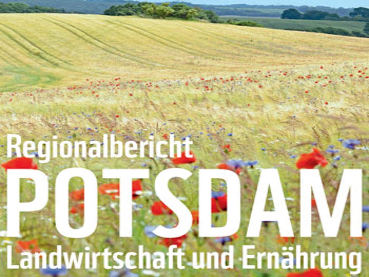 Regionalbericht Potsdam © WWF