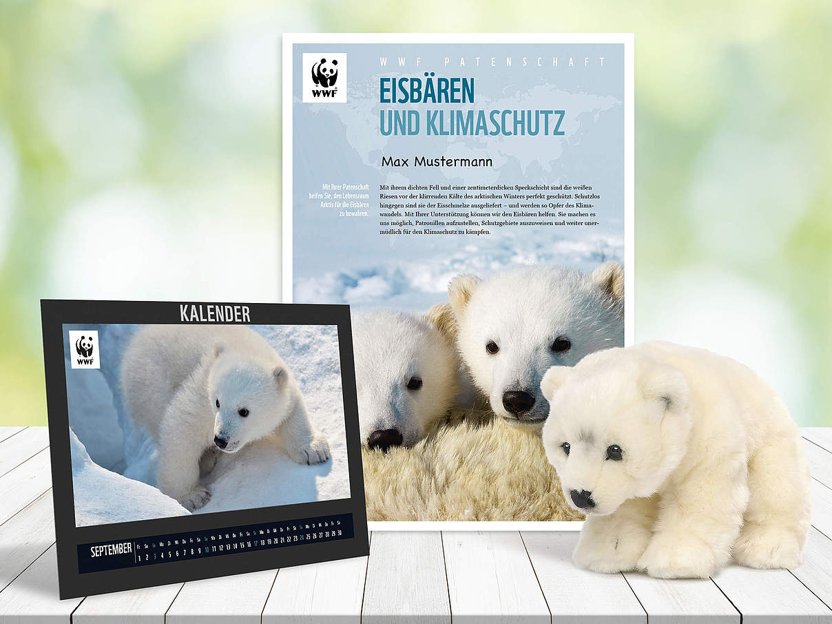 Begrüßungspaket Eisbären-Patenschaft © WWF
