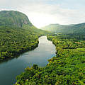 Regenwald in Thailand © iStock / Getty Images