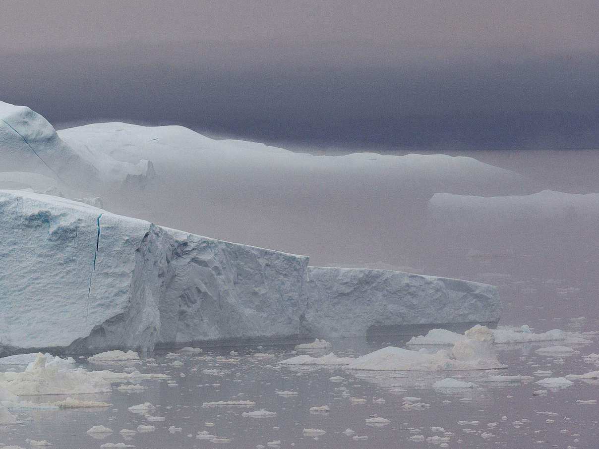 Eisberge in Grönland © Elisabeth Kruger / WWF