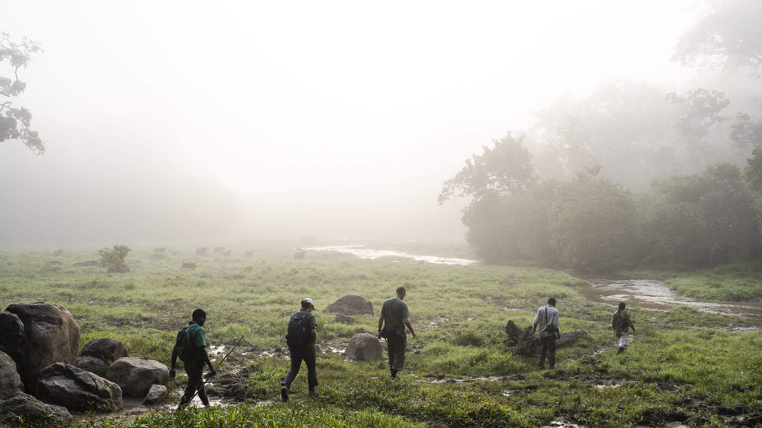 Auf der Suche nach den Gorillas in Dzangha-Sangha © Andy Isaacson / WWF US