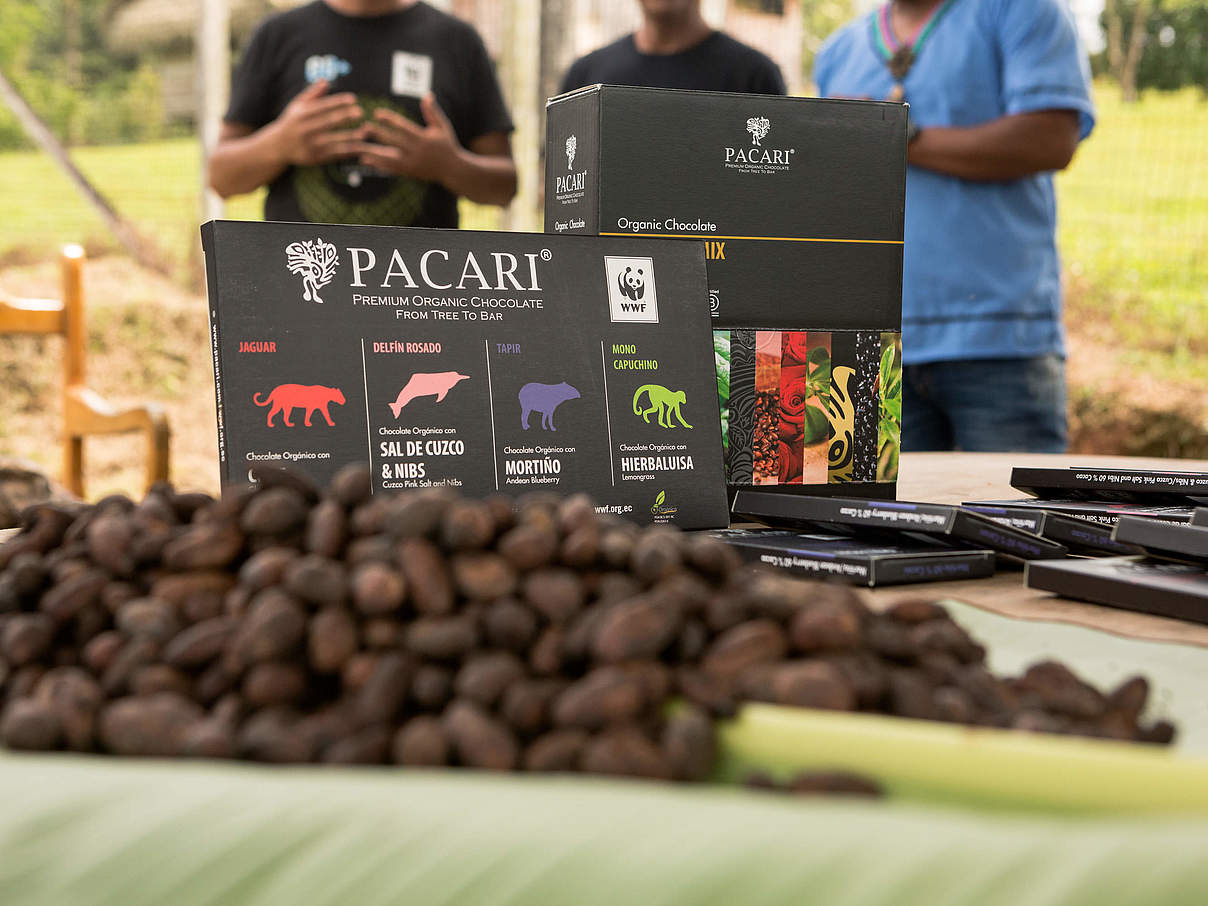 Präsentation des Endproduktes aus eigenem Kakao © Alejandro Janeta / WWF Ecuador