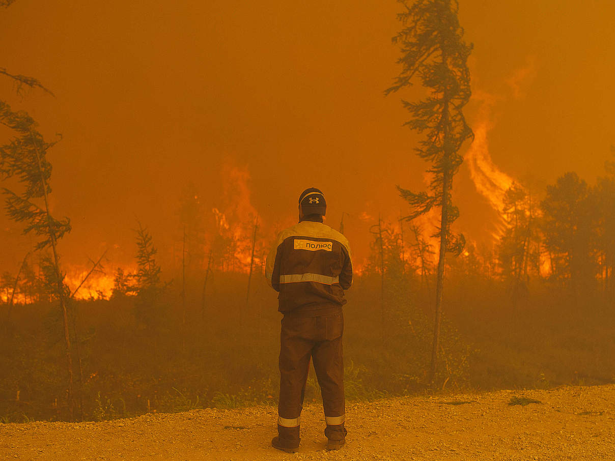 Waldbrand in der russischen Republik Jakutien © Imago/ITAR-TASS/Ivan Nikforov