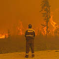Waldbrand in der russischen Republik Jakutien © Imago/ITAR-TASS/Ivan Nikforov