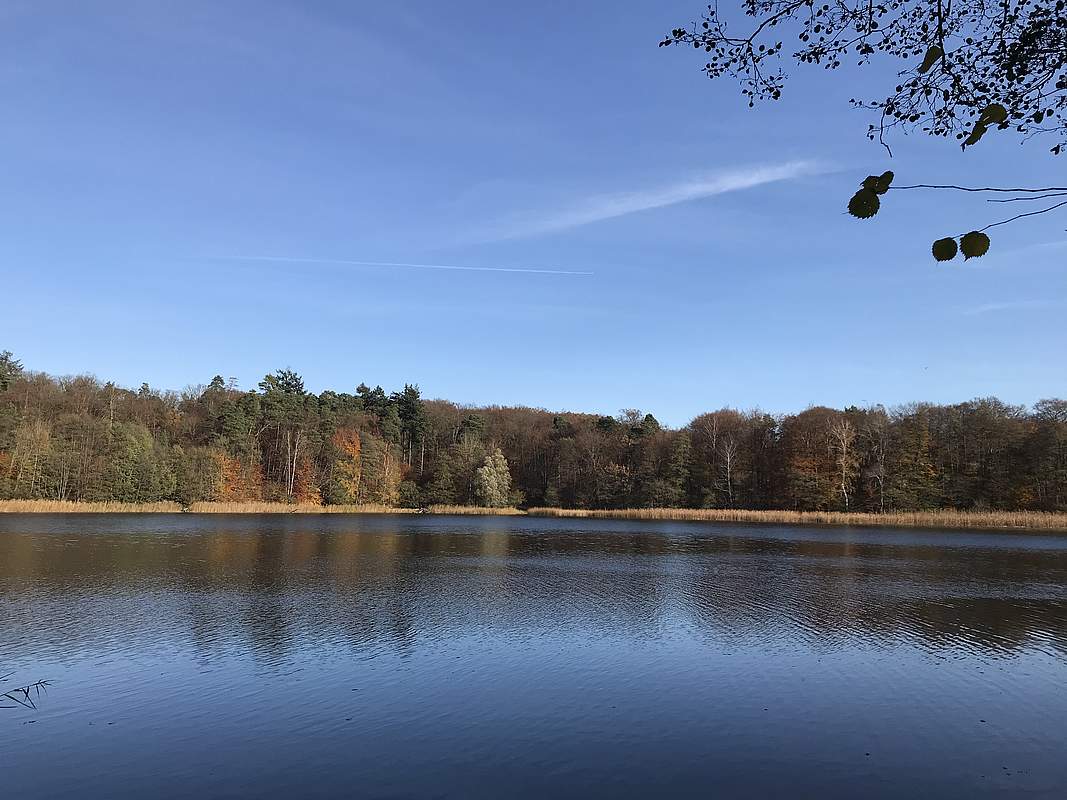 Großer Petznicksee © Anet Hoppe