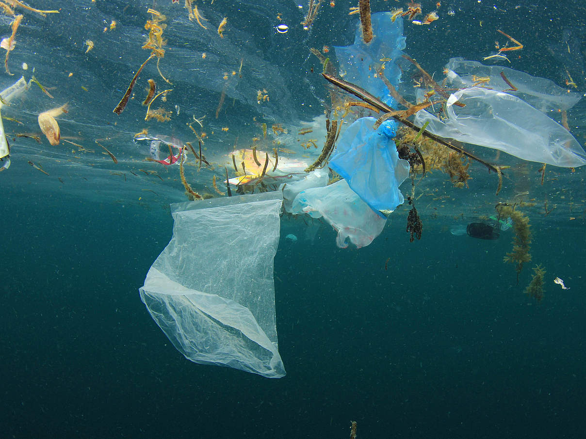 Meeresplastik © Rich Carey / Shutterstock / WWF