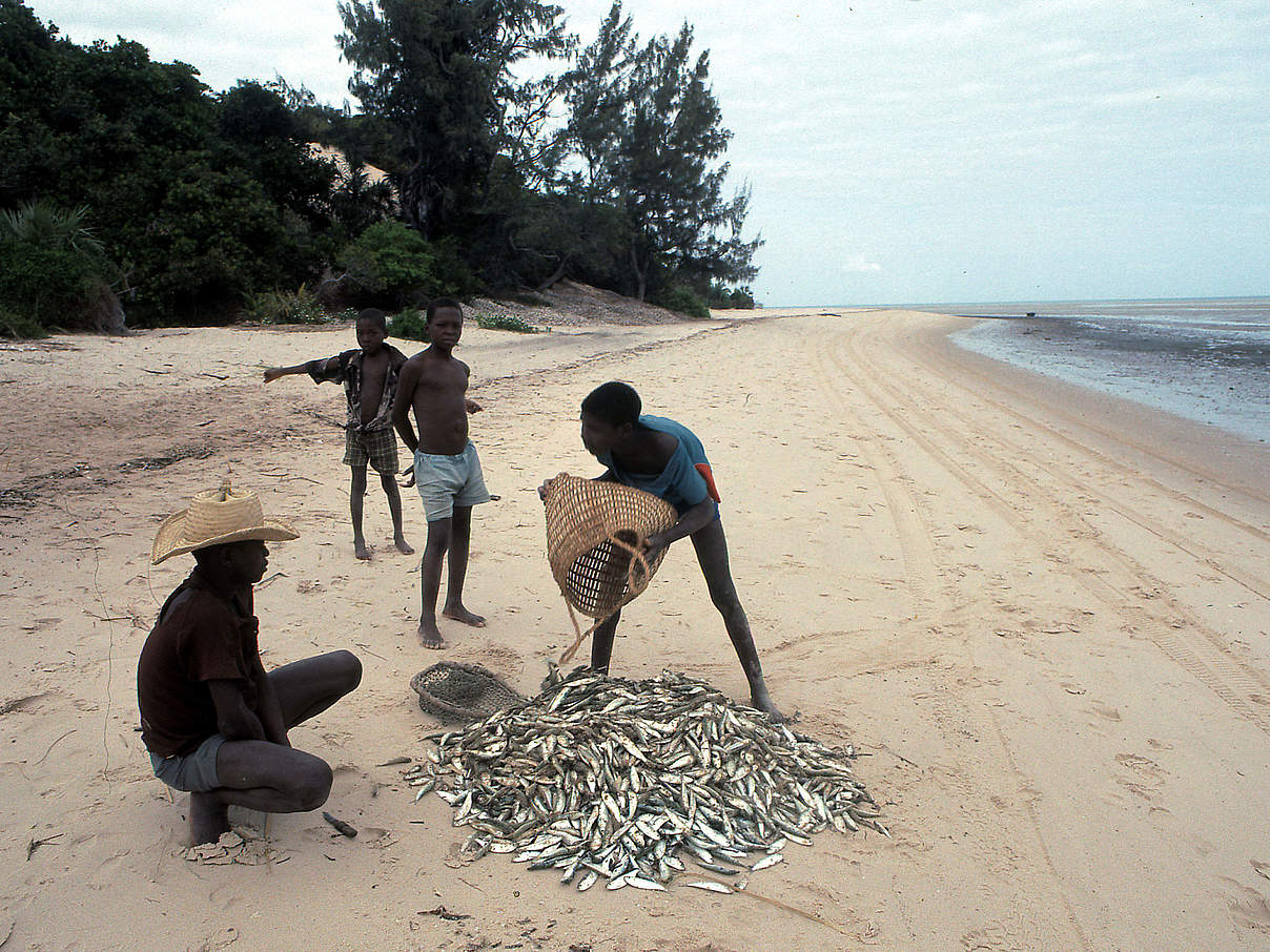Jungen in Mosambik beim Fischfang © Frederick J. Weyerhaeuser / WWF