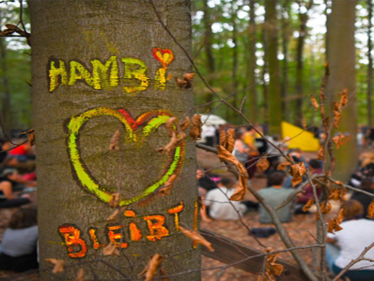 350x350 Hambacher Wald c istock getty images Der Streit um den Hambacher Wald ähnelt dem von Wackersdorf ©iStock/Getty Images