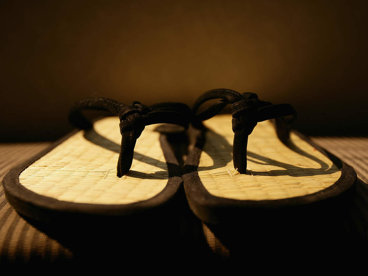 Flip Flops © Sabine Albers / iStock / Getty Images