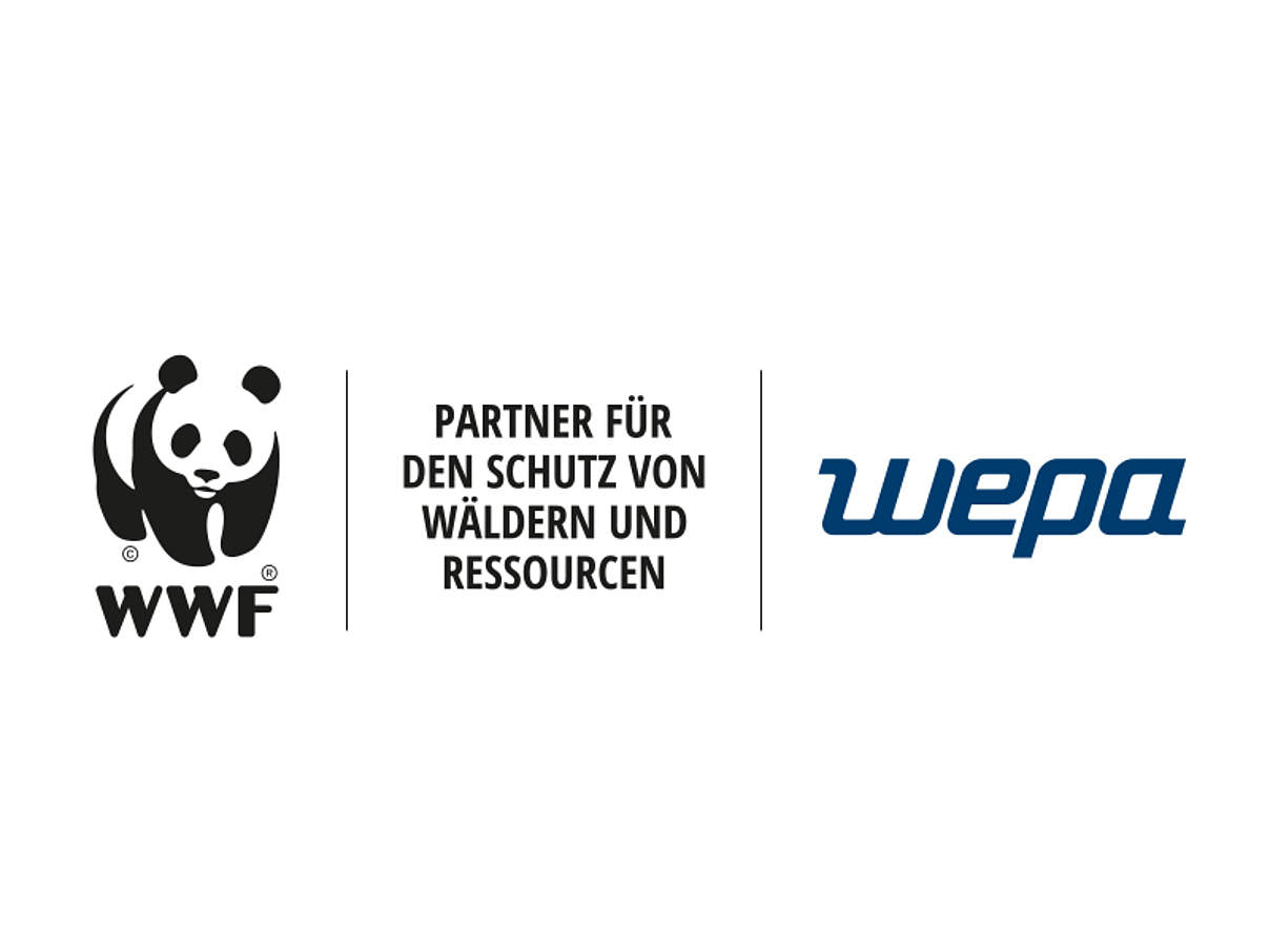 Kooperationslogo WEPA