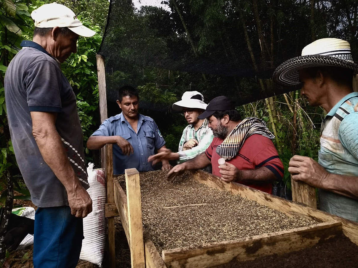 Bauern kultivieren Pflanzen © Laura Valencia / WWF Colombia