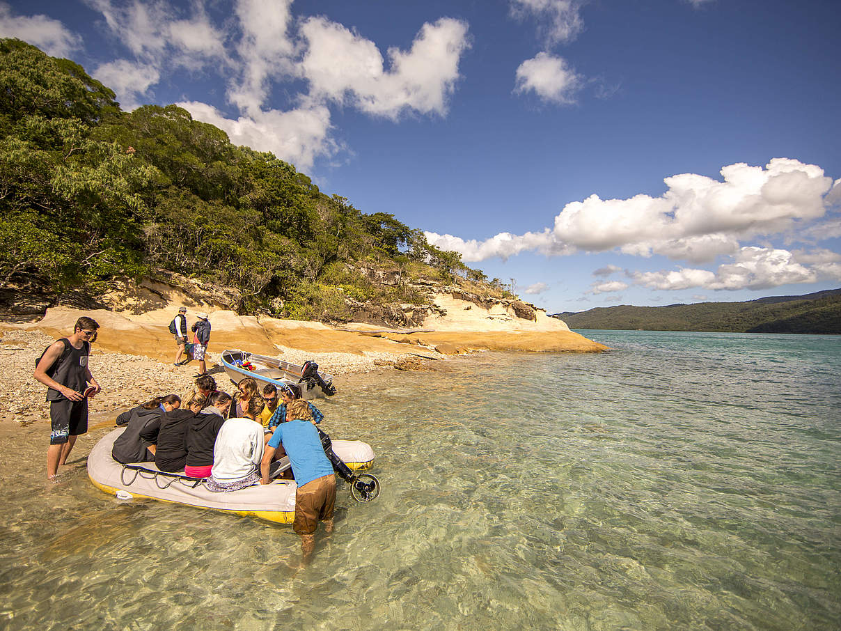 Schnorchel-Ausflug in Queensland, Australien © WWF / James Morgan