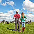 Ostsee-Landwirt © iStock / Getty Images