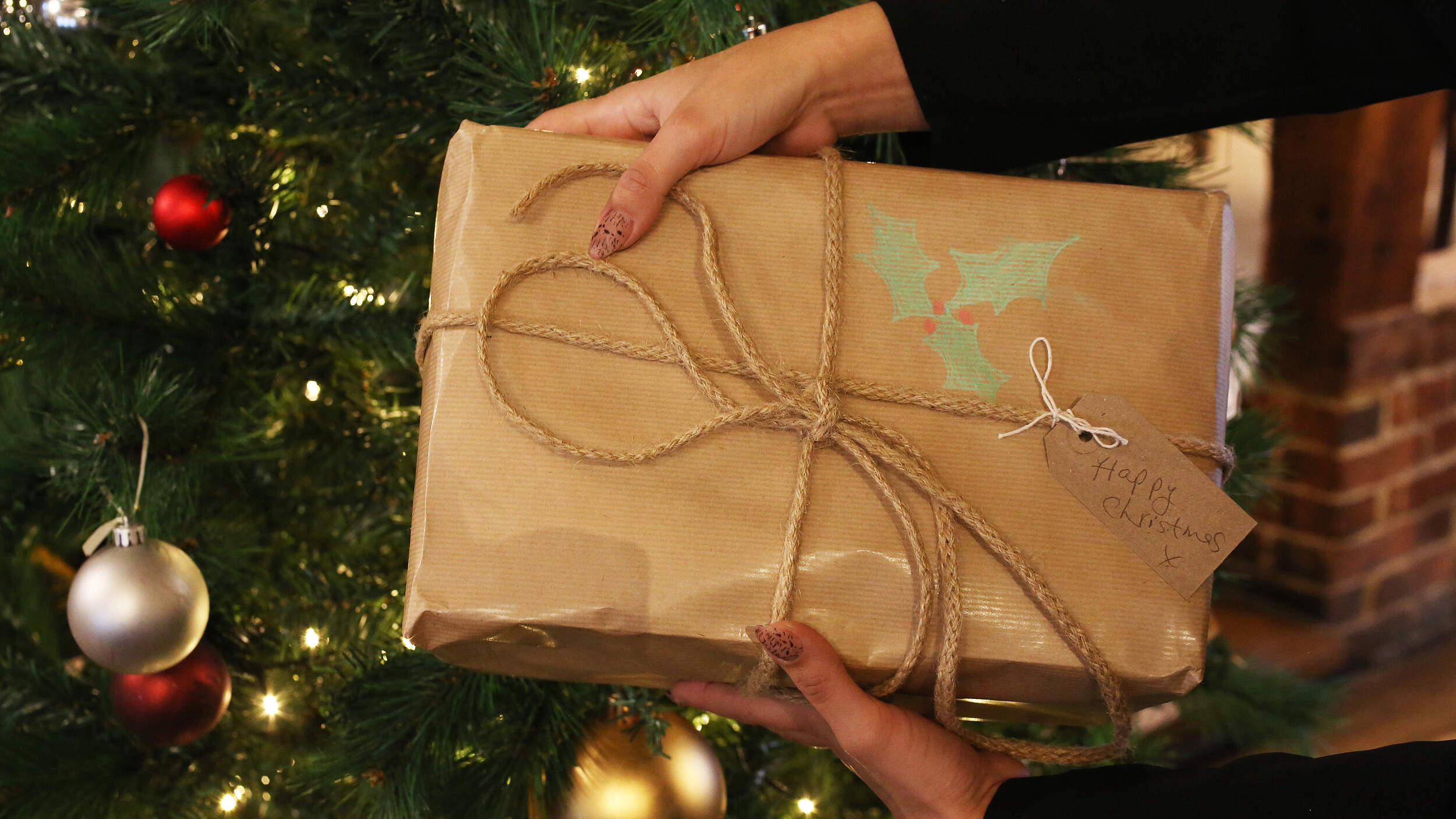 Weihnachtsgeschenk © Suzie Hubbard / WWF-UK 