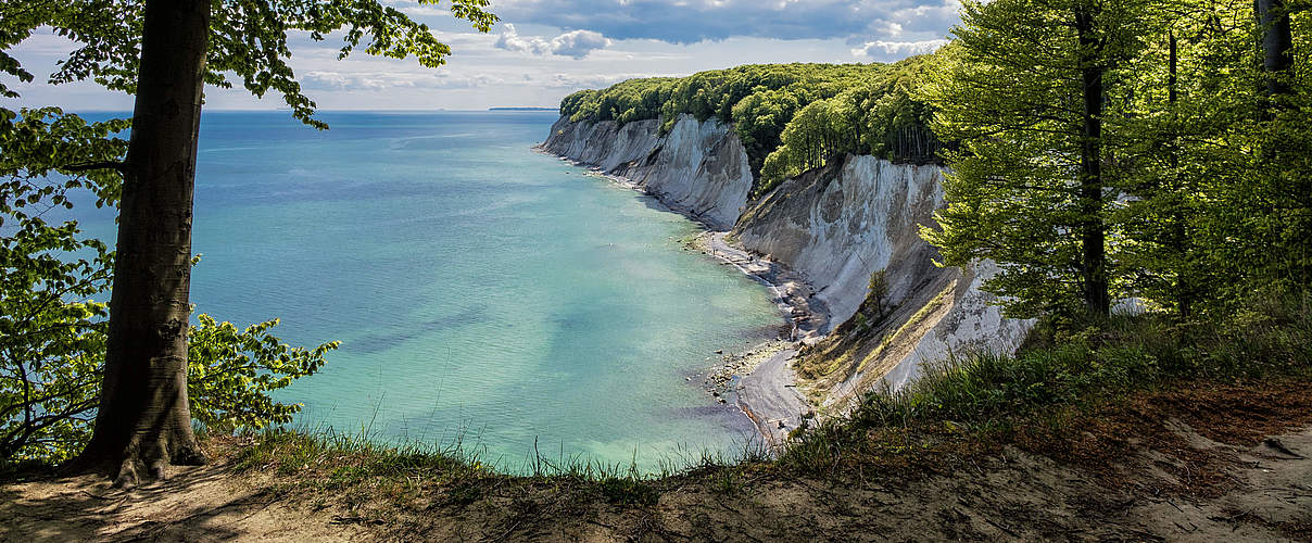 Nationalpark Jasmund auf Rügen © RicoK69 / iStock / GettyImages