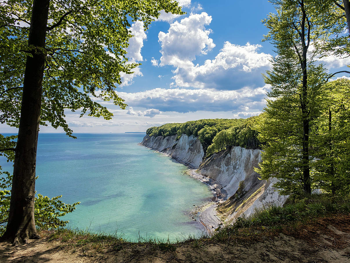 Nationalpark Jasmund auf Rügen © RicoK69 / iStock / GettyImages