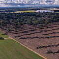 Soja-Plantage neben einem Schutzgebiet in Brasilien © Marizilda Cruppe / WWF-UK 