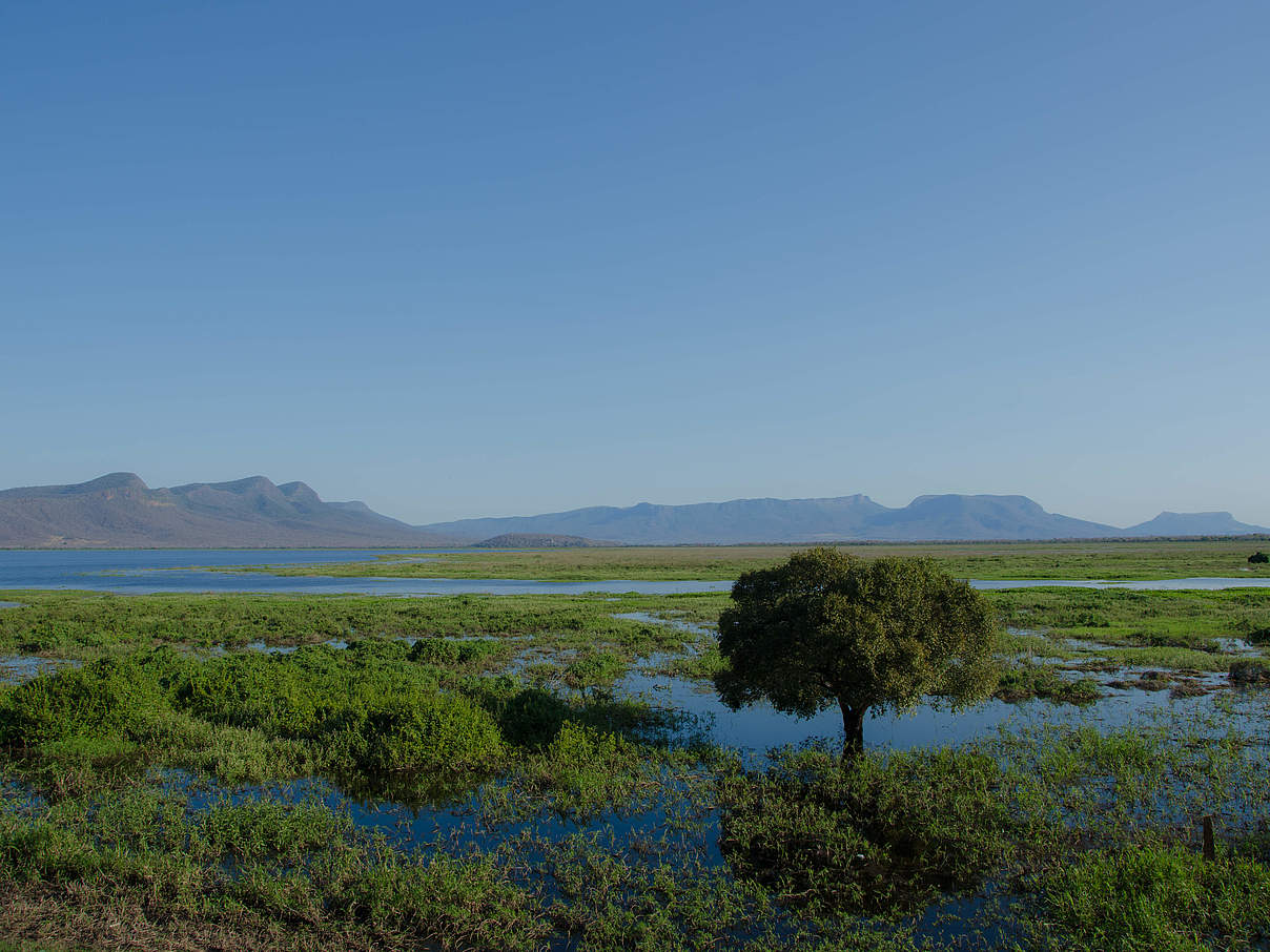 Überschwemmungen sind Teil des Ökosystems Cerrado © Karoline Ceron / WWF-Brazil