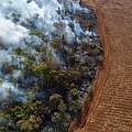 Amazonas-Regenwald im Bundesstaat Rondônia, Brasilien, im September 2020; links wurde Wald in Brand gesteckt, rechts bereits ganze Arbeit geleistet. Was das Feuer übrig lässt, wird abgeholzt und mit Sojabohnen bepflanzt. Foto: Andre Dib / WWF-Brazil 