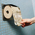 Im Toilettenpapier steckt Wald © WWF / Kurt PRINZREGIONAL 