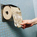 Im Toilettenpapier steckt Wald © WWF / Kurt PRINZREGIONAL 