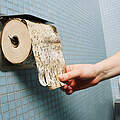 Im Toilettenpapier steckt Wald © WWF / Kurt PRINZREGIONAL 