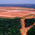 Abholzung im Amazonas © iStock / Getty Images