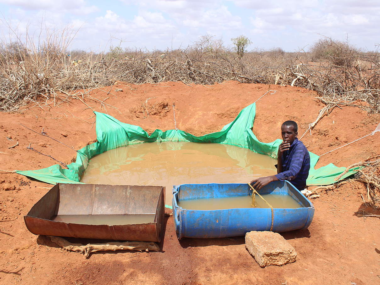 Eine Nothilfe-Maßnahme: Wasser dorthin bringen, wo es am nötigsten gebraucht wird, z.B. zu den Vieherden. © WWF Kenia