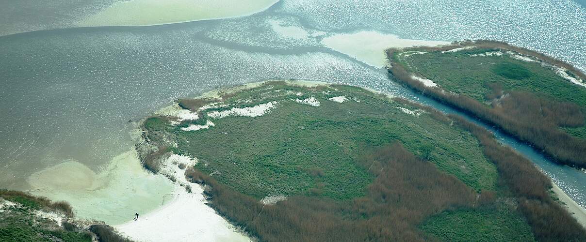Das Naturschutzgebiet Peenemünder Haken auf der Insel Usedom © Florian Hoffmann / WWF
