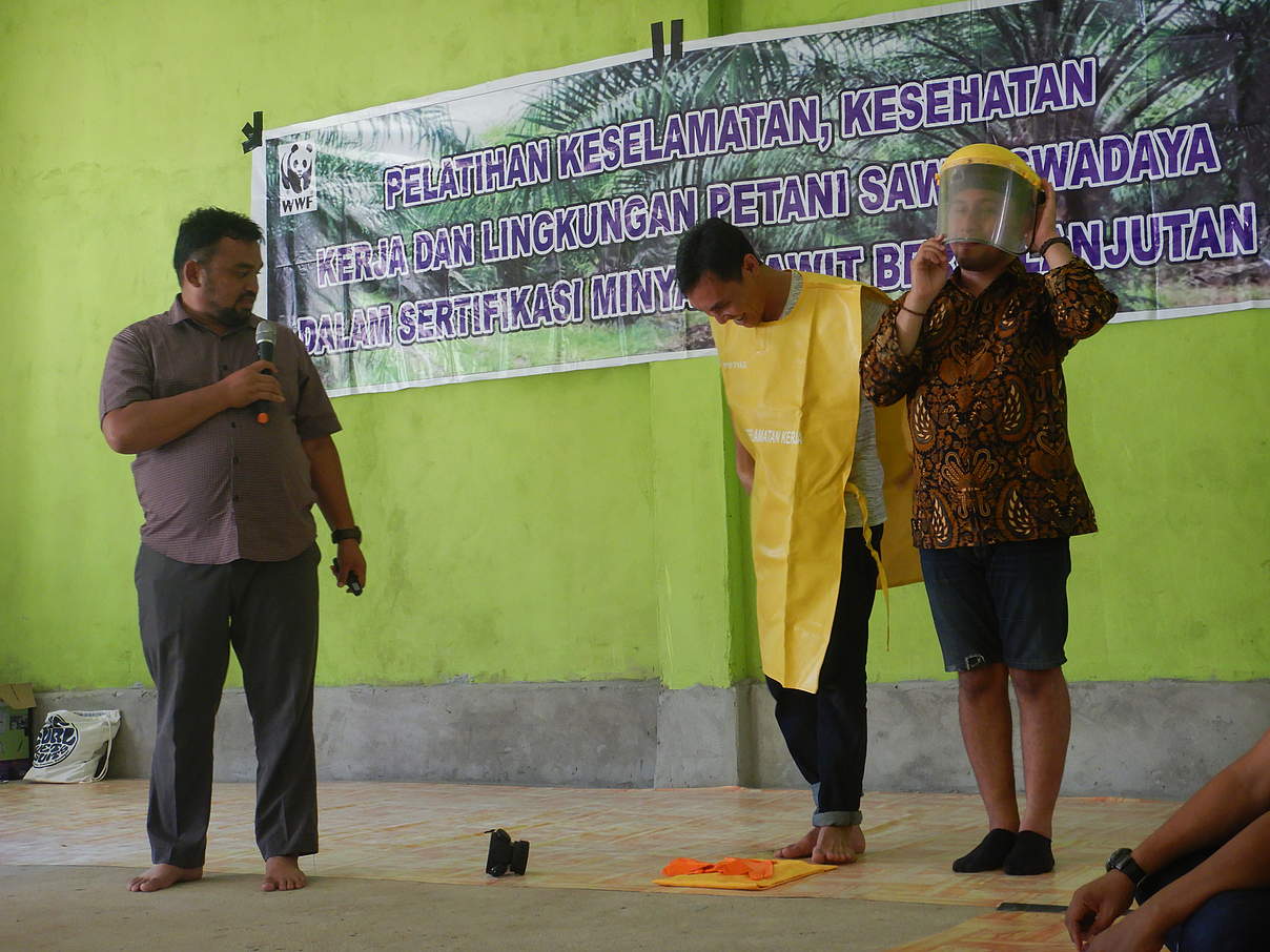Training für Palmöl-Kleinbauern © WWF Indonesien Training für Palmöl-Kleinbauern © WWF Indonesien