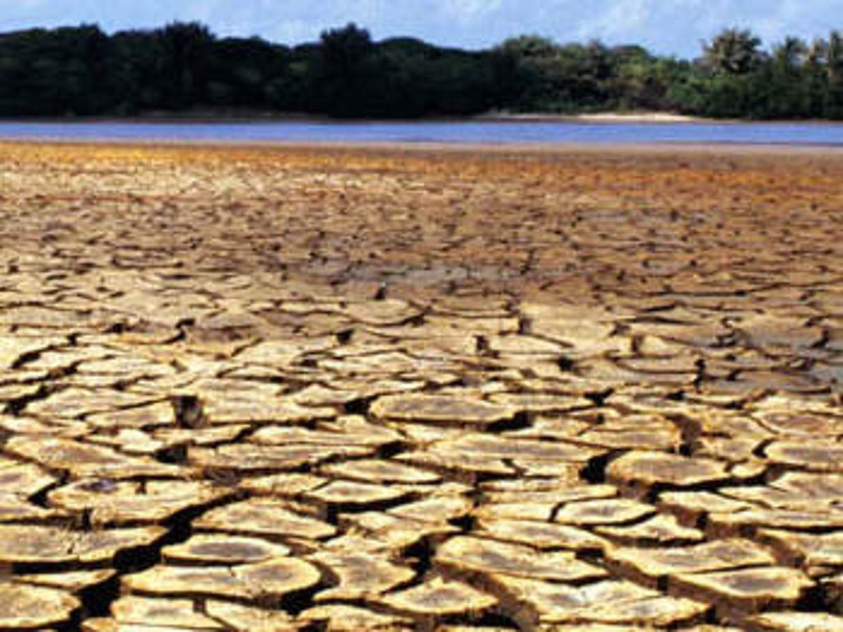 350 wasser duerre amazonas c A Gambarini