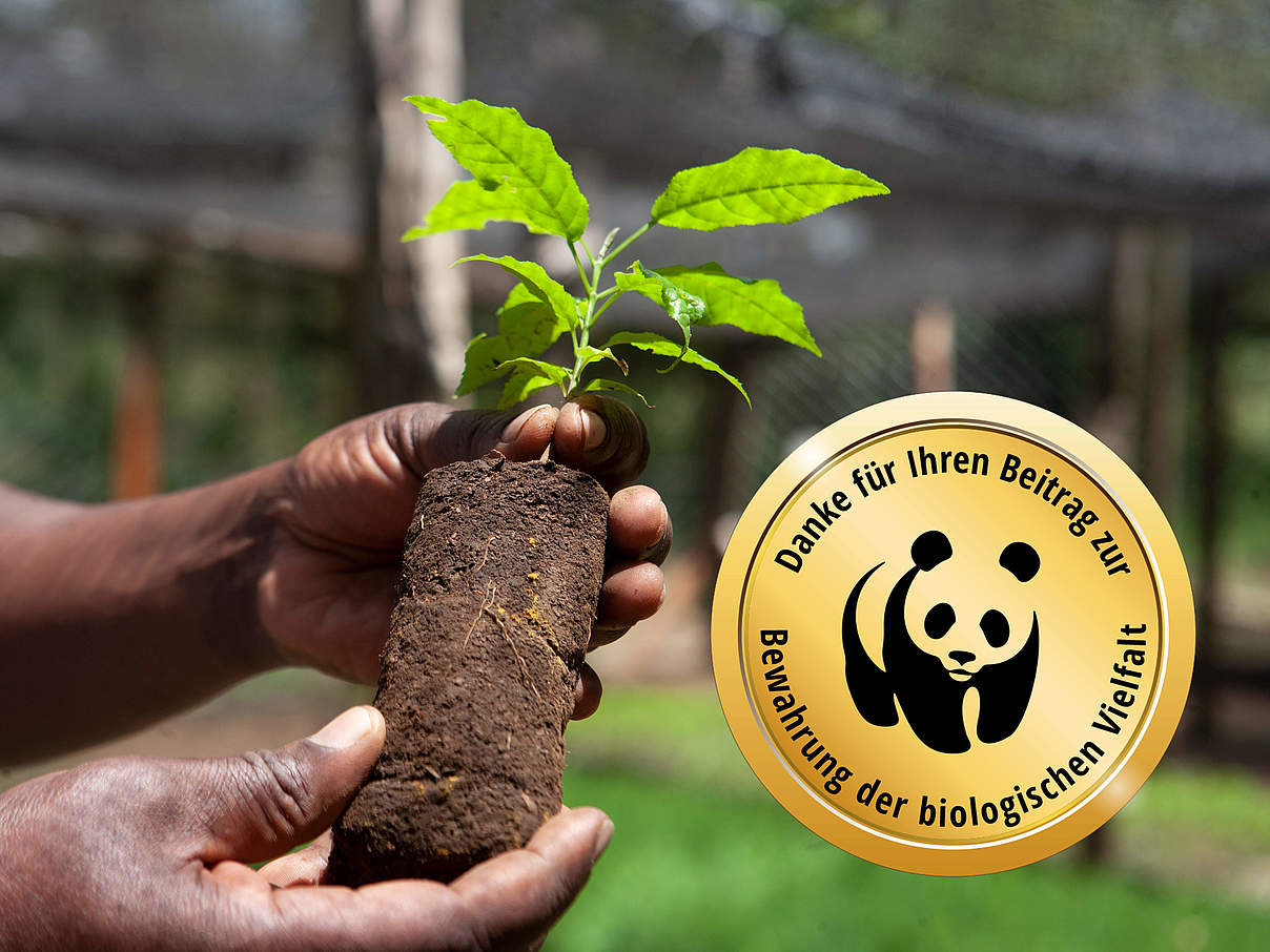 WWF Naturschutz Euro © WWF Kenia / Uzi Video