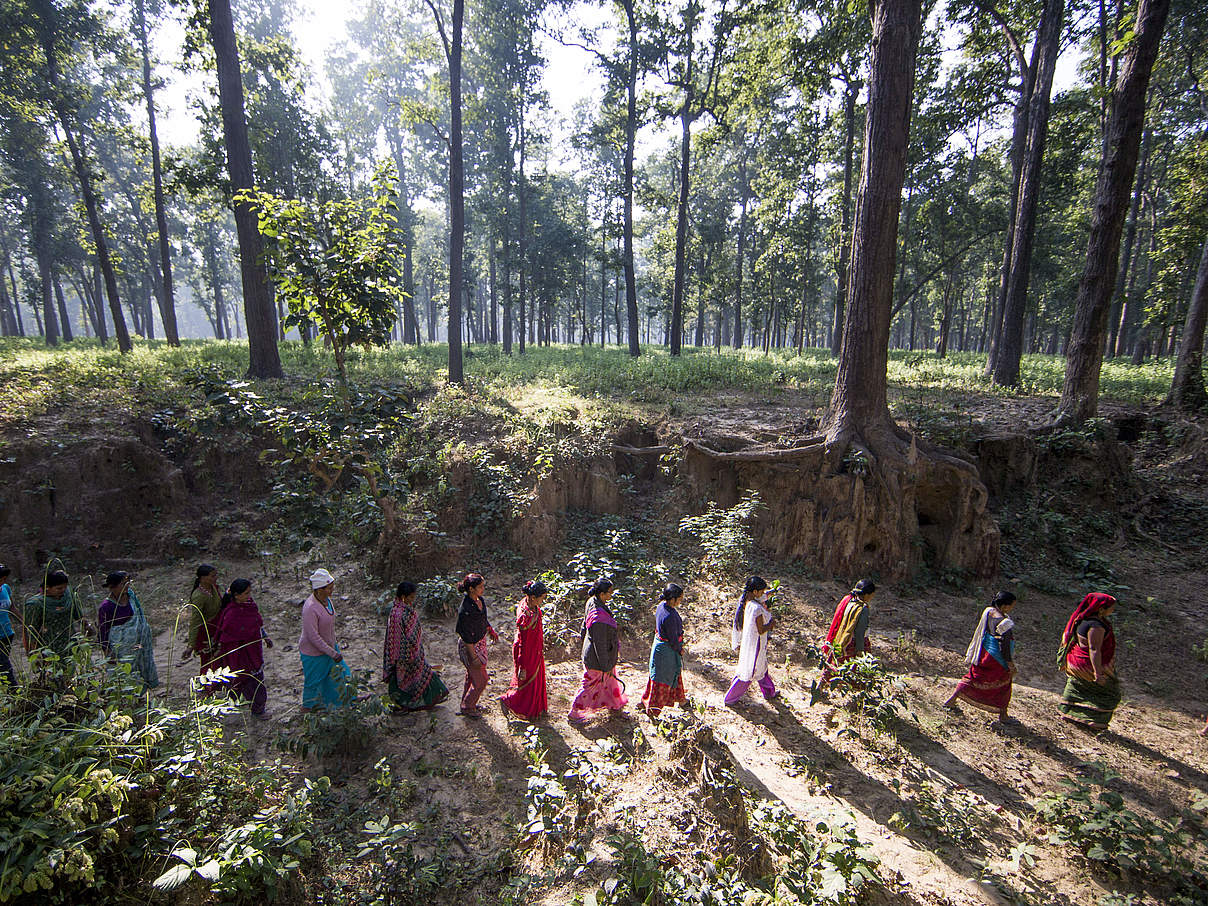 Frauen auf dem Weg zur Arbeit im Gemeinschaftwald Karanle Korridor in Nepal. © James Morgan / WWF-US