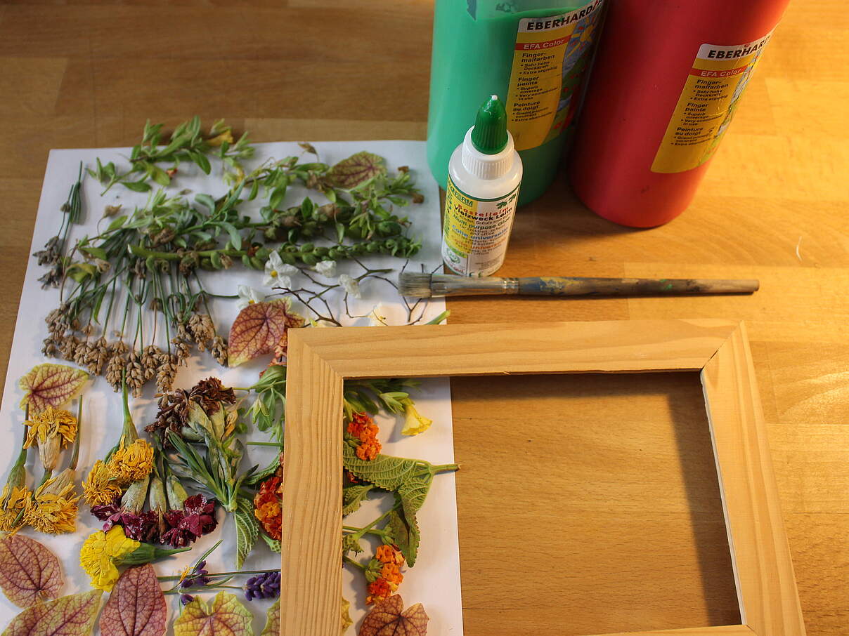 Das brauchst du für deinen Urwald-Bilderrahmen