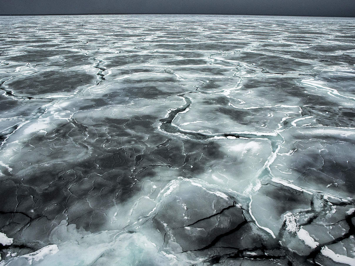 Arktis aus der Luft © Canon / Brutus Östling / WWF-Sweden