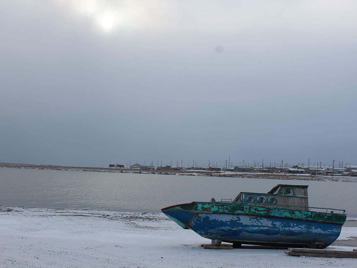 Der Klimawandel wird besonders in der Arktis sichtbar © Sybille Klenzendorf / WWF