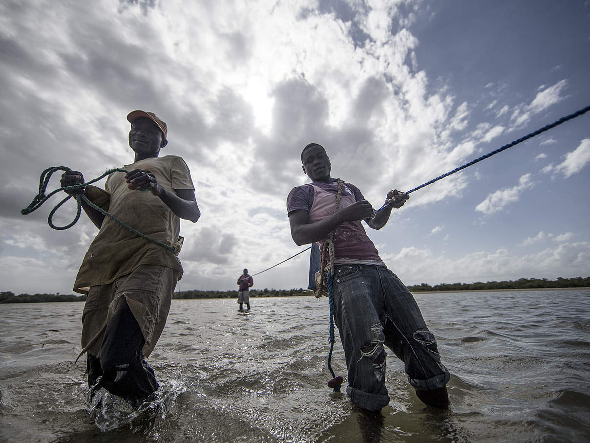 Fischfang © James Morgan / WWF-US