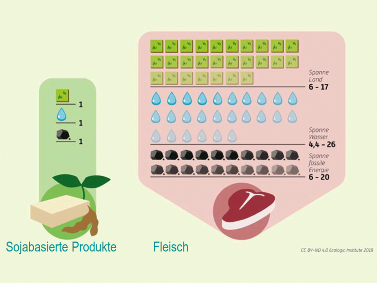 Ressourcenverbrauch Fleisch und Soja © Ecologic 2019