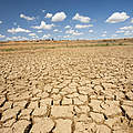 Dürre © Global Warming Images / WWF