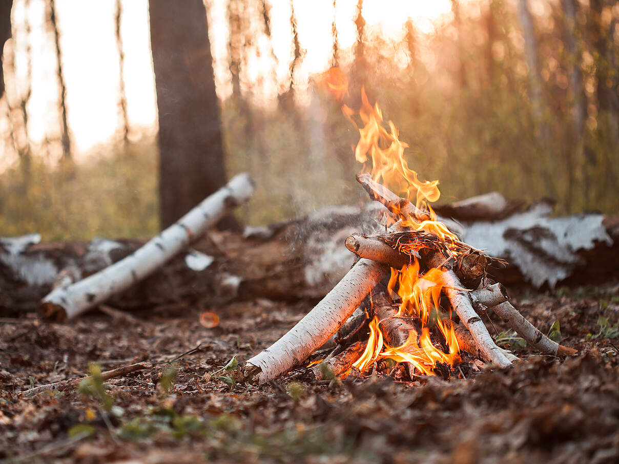 Ungesichertes Lagerfeuer im Wald