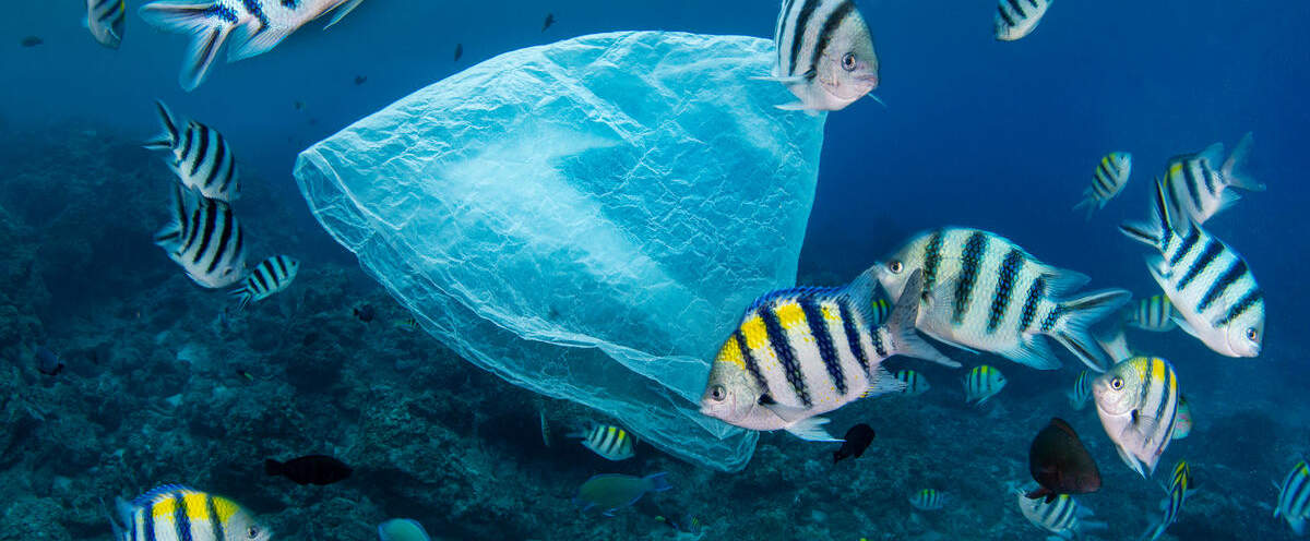 Plastikmüll im Ozean © Magnus Lundgren / Wild Wonders of China / WWF